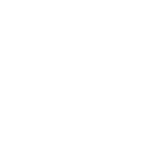 Established in 1999