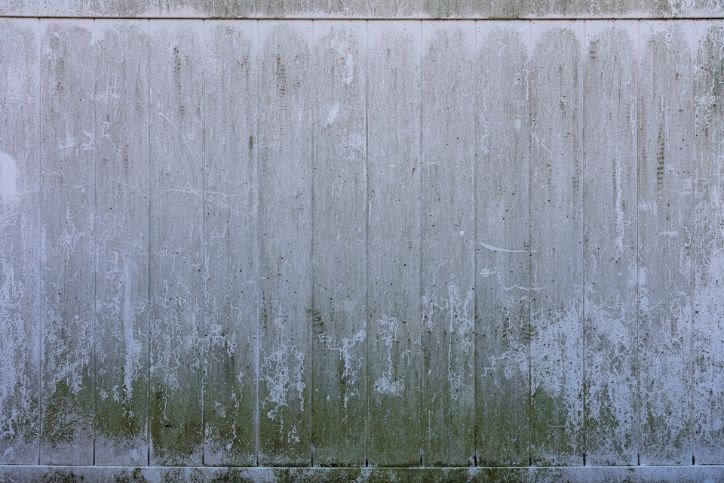 Mould growing on wooden deck