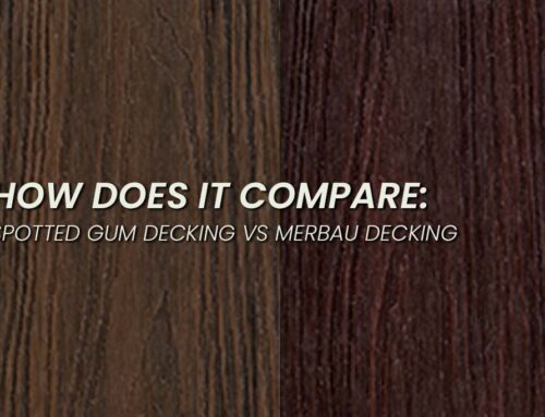 How Does it Compare: Spotted Gum Decking vs Merbau Decking