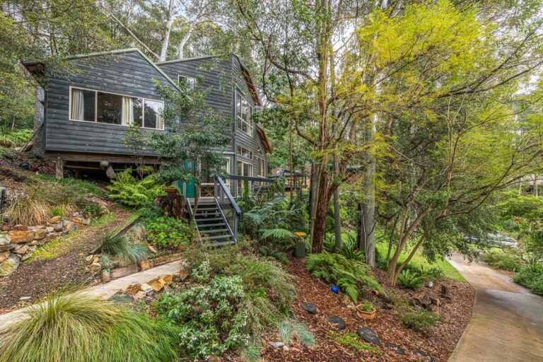 a house with trees and plants around it