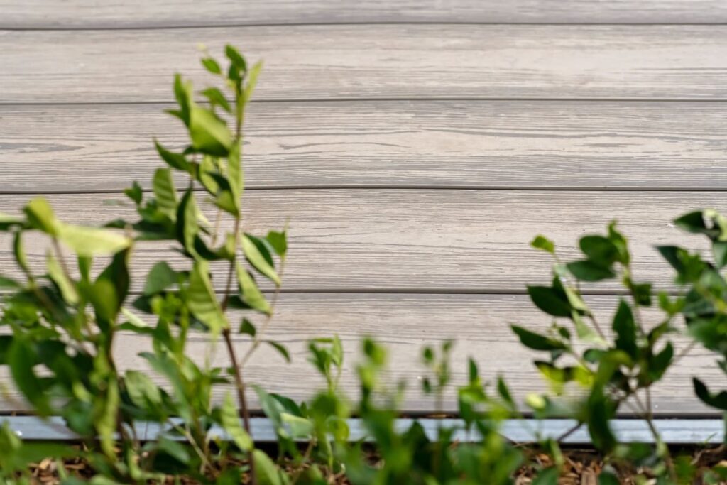 a close up of a plant and grey composite decking boards